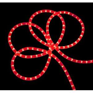   18 Festive Red Indoor/Outdoor Christmas Rope Lights: Home & Kitchen