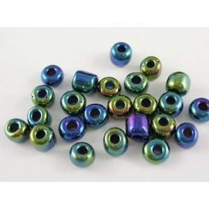  DIY Jewelry Making: 1 OZ of 6/0 Glass Seed Beads, Rainbow 