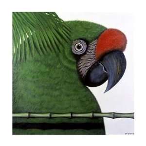    Ivan Ball   ian Military Macaw Giclee Canvas