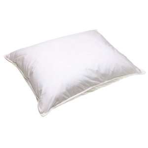   Latex Foam Standard Pillow with a Down Alternative Removable Cover