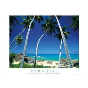  PARADISE PALM TREES OCEAN BEACH 24x36 POSTER 33102: Home 