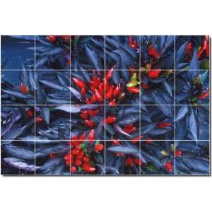 Fruits Vegetables Photo Backsplash Tile Mural 21  32x48 using (24 