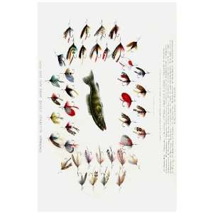  black bass & Lake flies  Poster. Decor with Unusual images. Great 