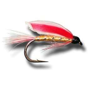  Parmachene Belle Wet Fly Fly Fishing Fly Sports 
