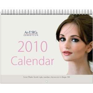 25 page Bright Sparks 2010 Wall Calendar   by the Consortium of A&E 