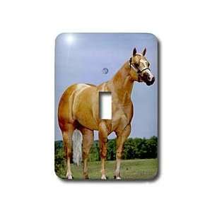 Horse   Palomino Quarter Horse   Light Switch Covers   single toggle 
