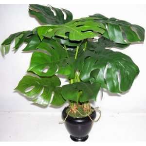   26 Deluxe Life Like Split Leaf Philodendron