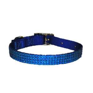  Swarovski Crystal Dog Collar Capri Blue 14 Pet Supplies