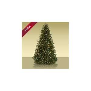 On Sale! 7 Saratoga Spruce Realistic Christmas Tree with Multicolored 