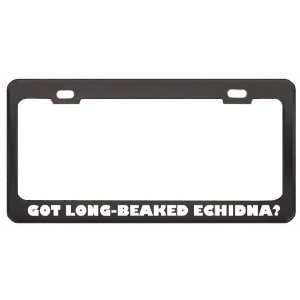 Got Long Beaked Echidna? Animals Pets Black Metal License Plate Frame 
