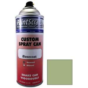  12.5 Oz. Spray Can of Jasper Green Touch Up Paint for 1975 