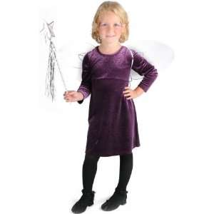  Fairy Child Costume Kit: Toys & Games