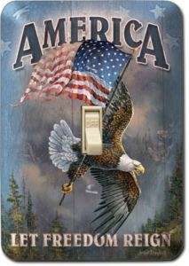 Vintage Light Switch Plate America Flag Eagle Patriotic  