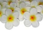 8X White Foam Floating Frangipani/Plu​meria/Hawaiian Flower Heads 