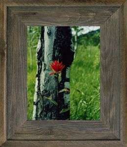 Picture Frame 20 X 24 Wide Western Barnwood Picture Frame  