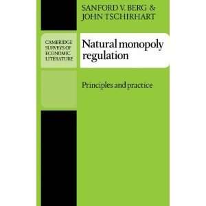  Natural Monopoly Regulation Principles and Practice 