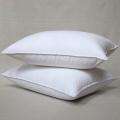 Poly Filled Pillows   Buy Pillows & Protectors Online 