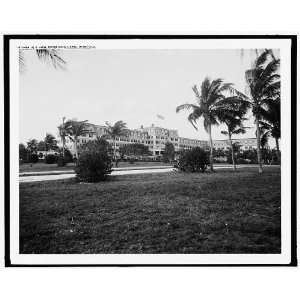 view,Royal Palm Hotel,Miami,Fla. 