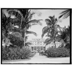  Miami,Fla.,south entrance,Royal Palm Hotel