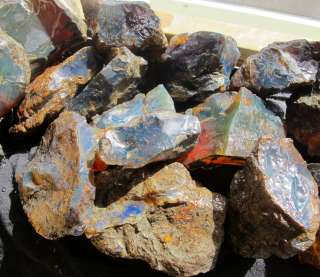 WHOLESALE LOT DOMINICAN BLUE GREEN AMBER ROUGH, 1,196 GRAMS  