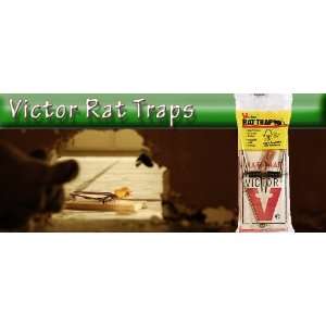  Spring Rat Trap: Patio, Lawn & Garden