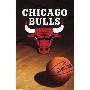  Bulls   Logo 10   Poster (22x34)