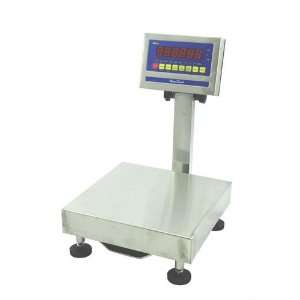   WS10R10S Stainless Steel Bench Scale 10 x 0 001 lb: Everything Else