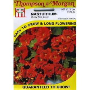   3166 Nasturtium Cherry Rose Jewel Seed Packet Patio, Lawn & Garden
