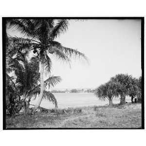  Lake Worth,Royal Poinciana,Palm Beach,Fla.