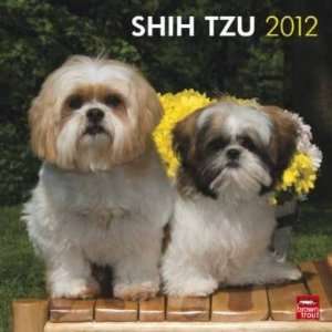 Shih Tzu 2012 Wall Calendar 12 X 12