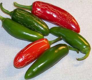 pepper, JALAPENO HOT PEPPER, 102 seeds GroCo  