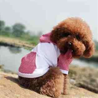   Pet Clothes & Fashion Dog Style SIZE XS SZ18 A010 XS~RED at 
