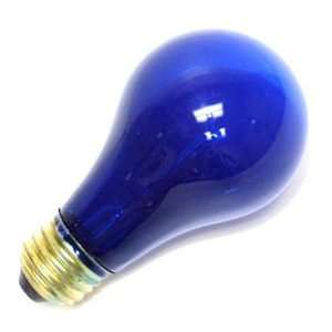   TRANSP. BLUE Standard Transparent Colored Light Bulb