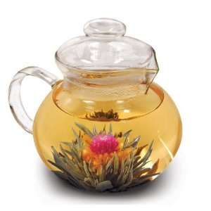  Glass Teapot/Infuser, Tea , units (pack of 4 ): Health 