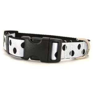   & White Posh Dot Dog Collar: 1 wide, adjusts 10 14 Pet Supplies