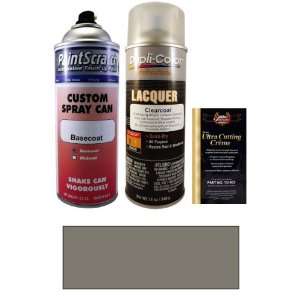  12.5 Oz. Meteor Gray Metallic Spray Can Paint Kit for 2009 