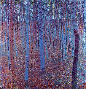 Beech Forest by Gustav Klimt  20x20 Canvas Art  
