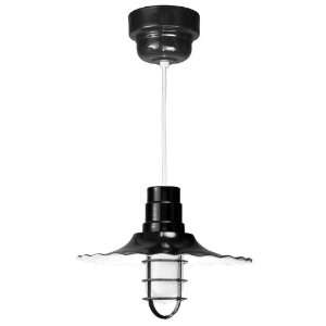   Fluorescent 16 Inch Radial Shade Pendant In Black