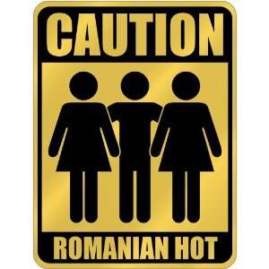    Romanian Hot  Romania Parking Sign Country