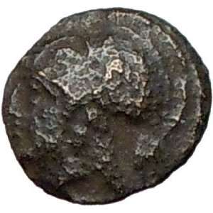   Asia Minor 4th cent BC Rare Ancient Greek Coin Athena War Corn grain