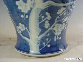 PAIR CHINESE BLUE WHITE PORCELAIN GINGER JAR 17 w PRUNUS  