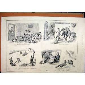   1890 Fox Hunting Dogs Stable Horse Toboggan Snow Vixen: Home & Kitchen