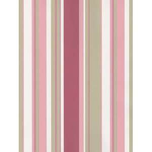  Multi Stripes Pink and Taupe Wallpaper in Simply Stripes 