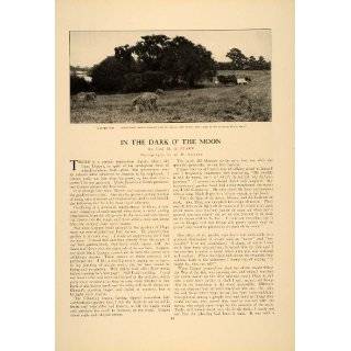 1913 Article Dark Moon Ida Starr Benson Isaac Copper Farm Horse 