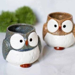Owl Mug   Hand Sculpted Stoneware Pottery, 16 oz, Made in the USA 