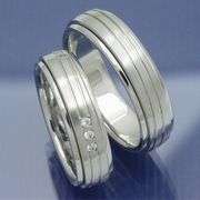 Dieses Ringpaar besteht aus jeweils zwei beweglichen Ringschienen, die 