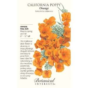  California Orange Poppy Seeds   12 grams   Annual Patio 