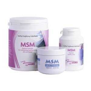  Life Source MSM (Sulphur) Powder 250g Health & Personal 
