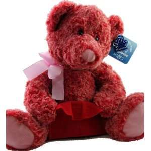  Applause By Russ Two Toned Red Pink Teddy Bear with Gift 