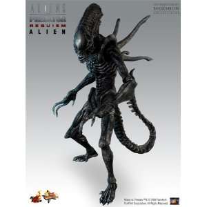 Aliens VS Predator Requiem Hot Toys   Alien Warrior  Toys & Games 